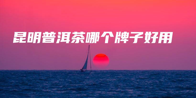 昆明普洱茶哪个牌子好用插图