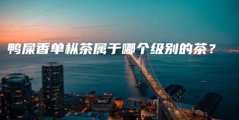 鸭屎香单枞茶属于哪个级别的茶？插图