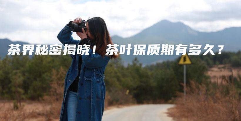 茶界秘密揭晓!茶叶保质期有多久?插图 茶界秘密揭晓!茶叶保质期有多久?插图