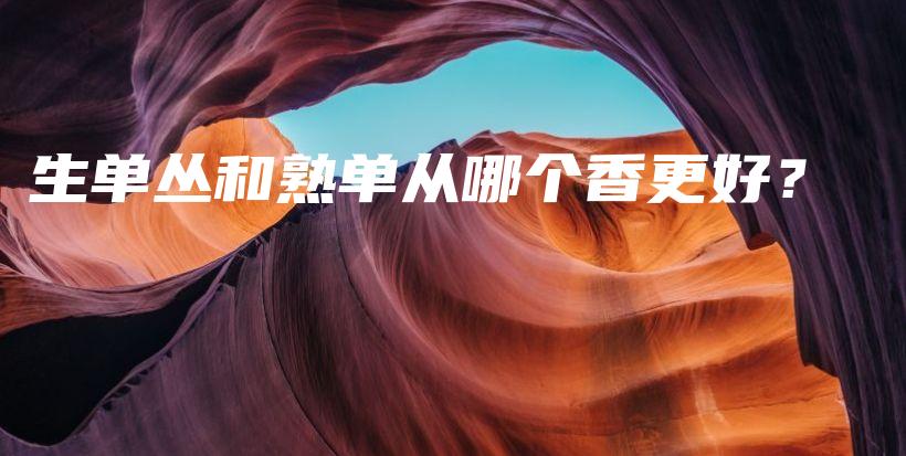 生单丛和熟单从哪个香更好?插图 生单丛和熟单从哪个香更好?插图
