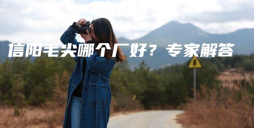 信阳毛尖哪个厂好？专家解答插图