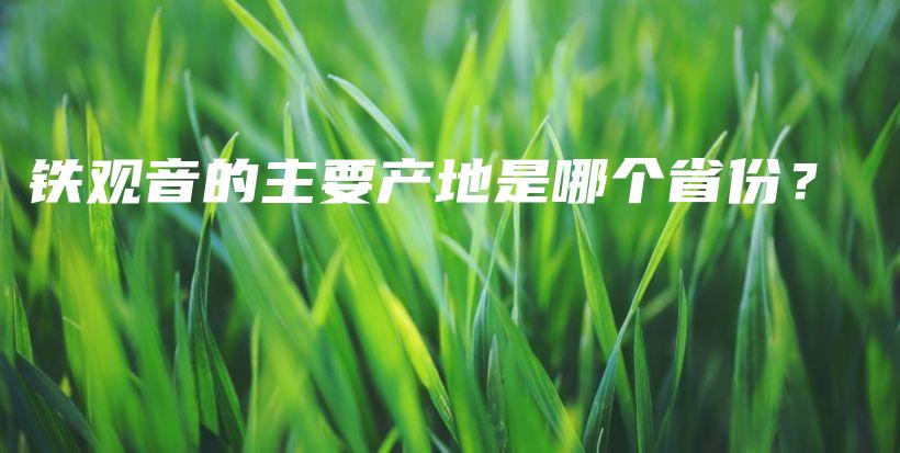 铁观音的主要产地是哪个省份？插图