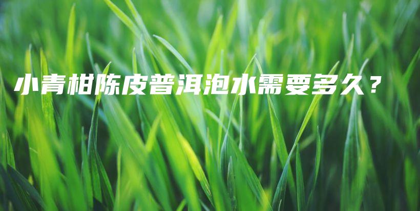 小青柑陈皮普洱泡水需要多久？插图