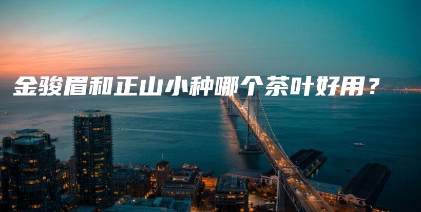 金骏眉和正山小种哪个茶叶好用？插图