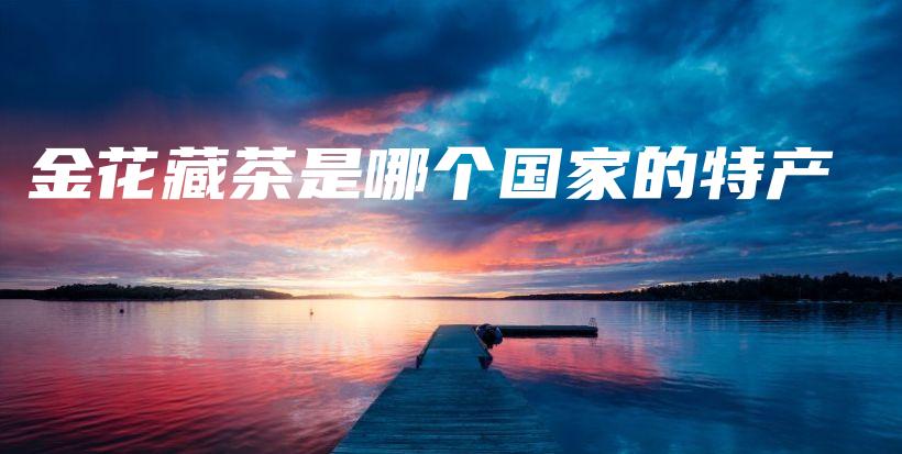 金花藏茶是哪个国家的特产插图