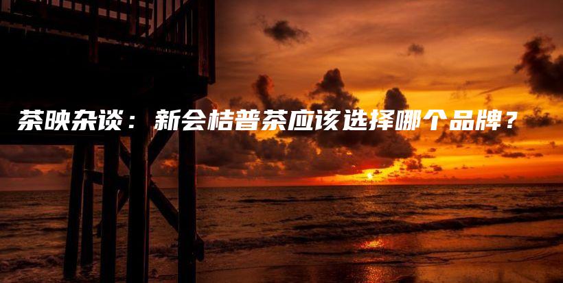 茶映杂谈：新会桔普茶应该选择哪个品牌？插图