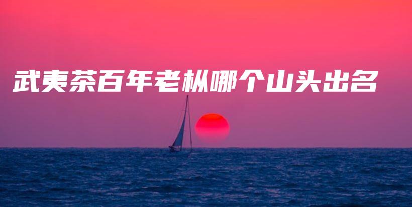 武夷茶百年老枞哪个山头出名插图