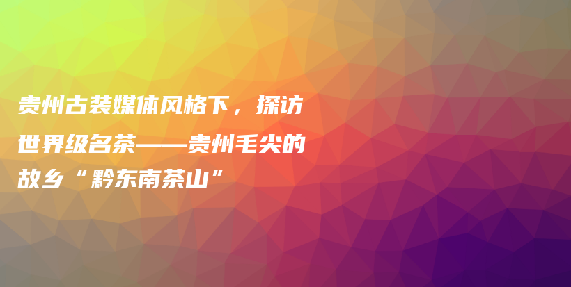 贵州古装媒体风格下，探访世界级名茶——贵州毛尖的故乡“黔东南茶山”插图