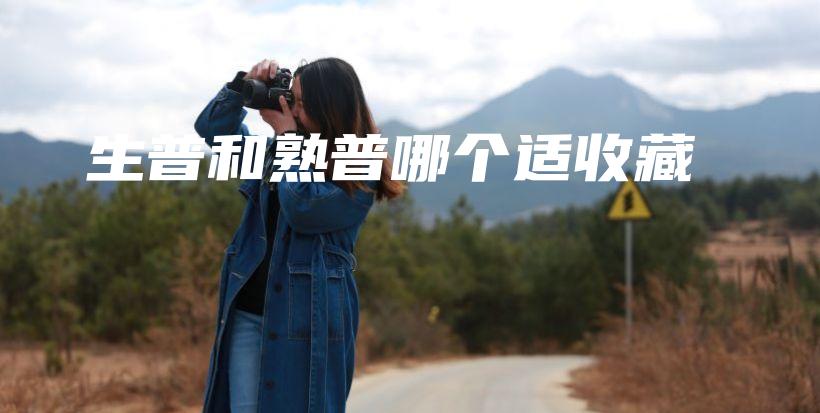 生普和熟普哪个适收藏插图