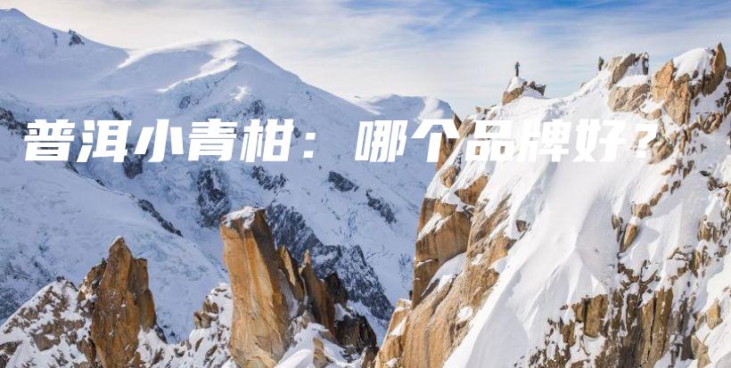 普洱小青柑：哪个品牌好？插图