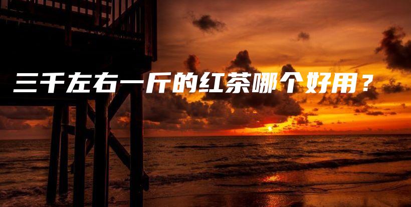 三千左右一斤的红茶哪个好用？插图