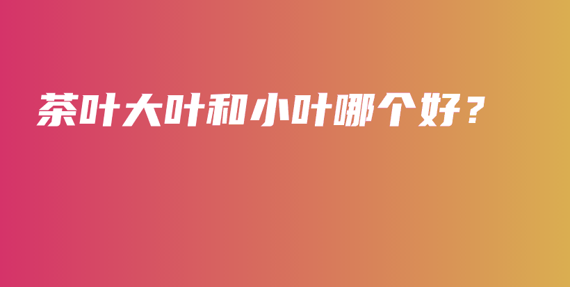 茶叶大叶和小叶哪个好?插图 茶叶大叶和小叶哪个好?插图