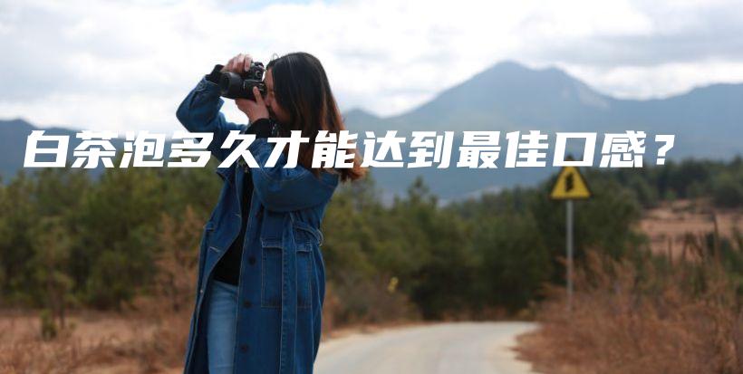 白茶泡多久才能达到最佳口感?插图 白茶泡多久才能达到最佳口感?插图