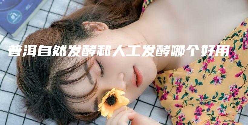 普洱自然发酵和人工发酵哪个好用插图