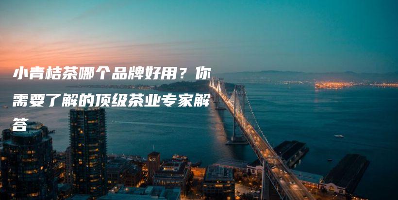 小青桔茶哪个品牌好用？你需要了解的顶级茶业专家解答插图