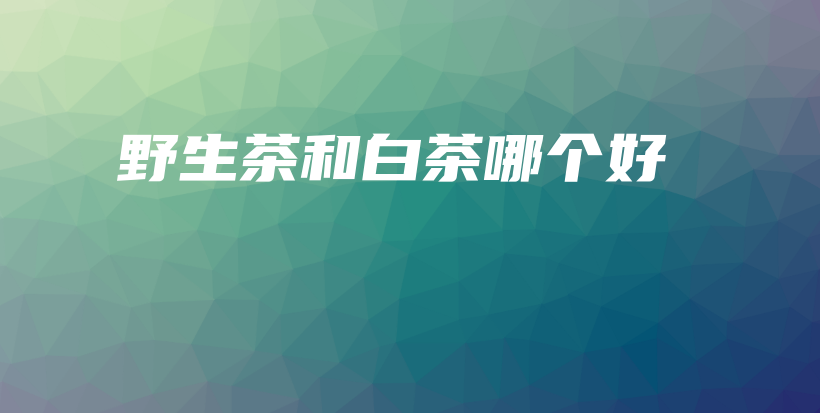 野生茶和白茶哪个好插图