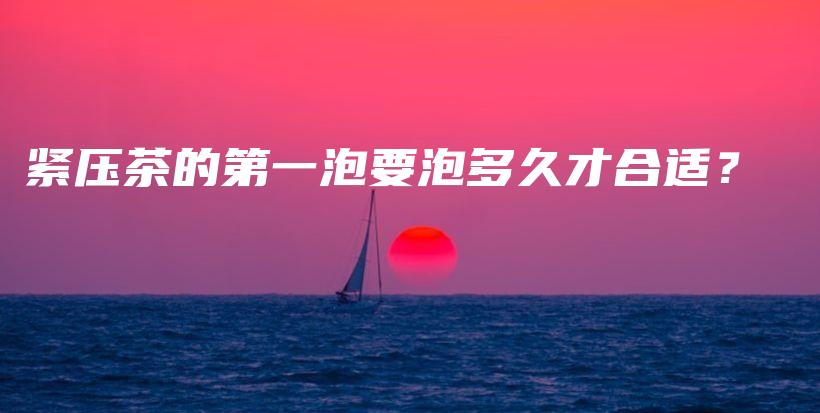 紧压茶的第一泡要泡多久才合适？插图