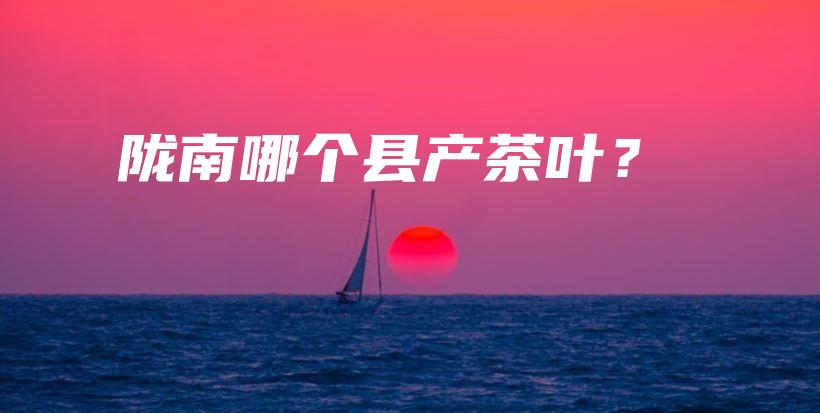 陇南哪个县产茶叶？插图