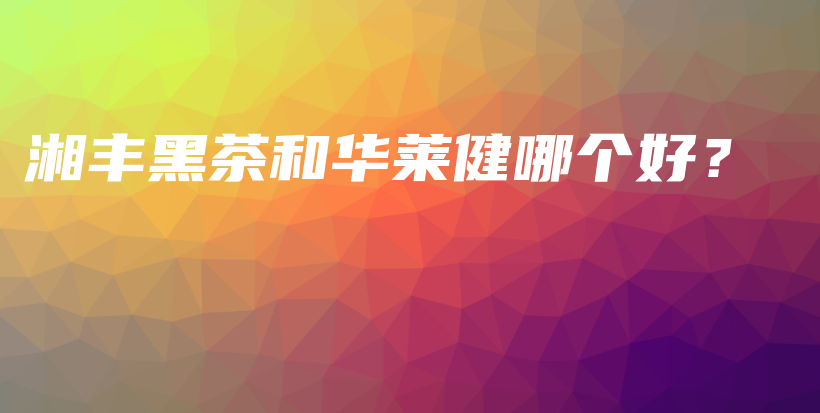 湘丰黑茶和华莱健哪个好？插图