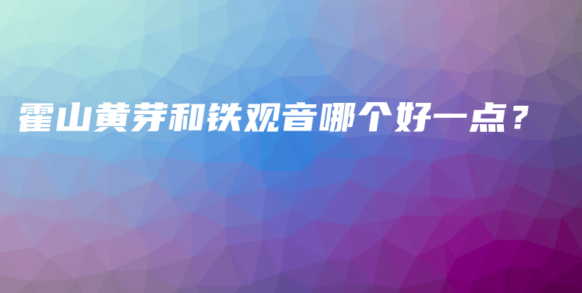 霍山黄芽和铁观音哪个好一点？插图