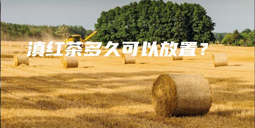 滇红茶多久可以放置？插图