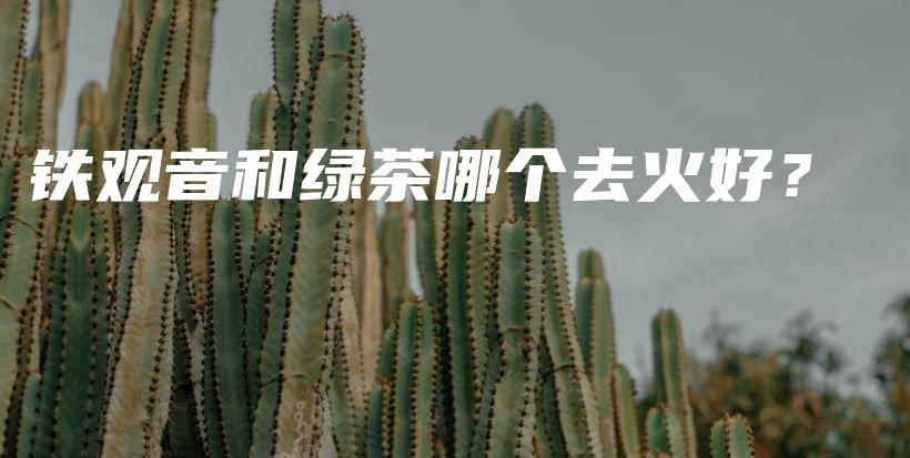 铁观音和绿茶哪个去火好？插图