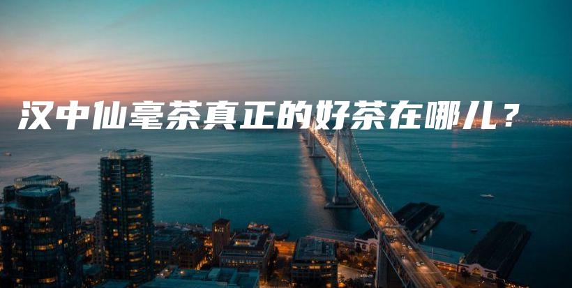 汉中仙毫茶真正的好茶在哪儿?插图 汉中仙毫茶真正的好茶在哪儿?插图