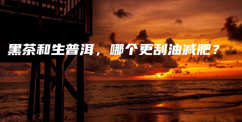 黑茶和生普洱，哪个更刮油减肥？插图