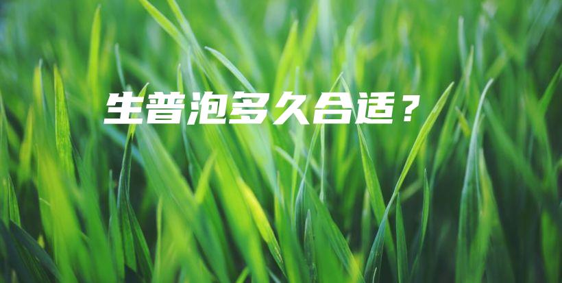 生普泡多久合适？插图