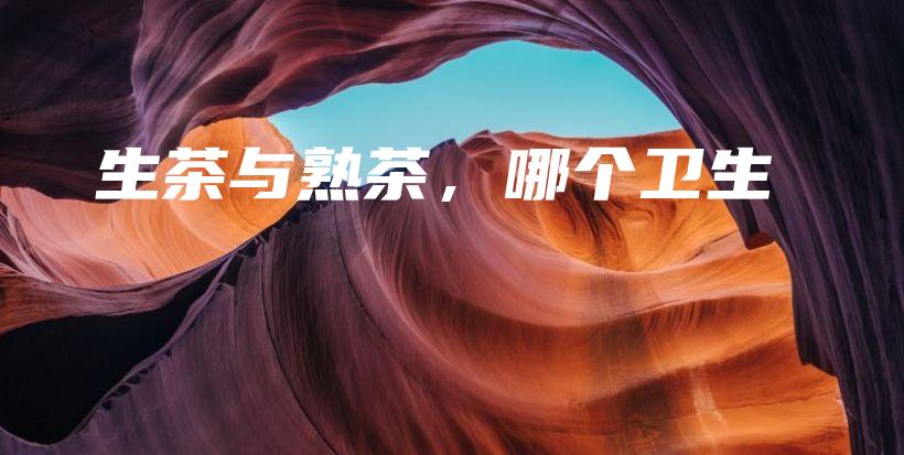 生茶与熟茶，哪个卫生插图