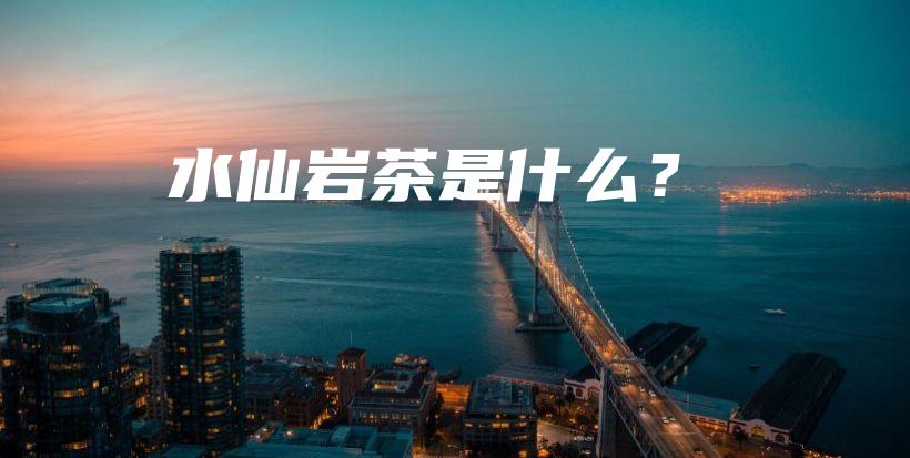 水仙岩茶是什么？插图