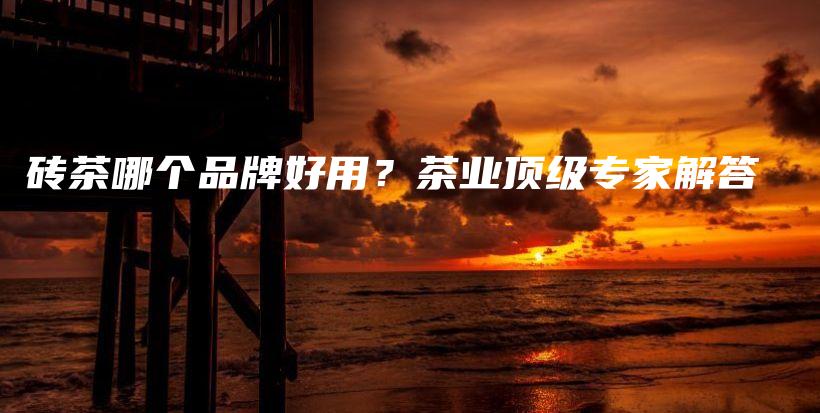 砖茶哪个品牌好用？茶业顶级专家解答插图