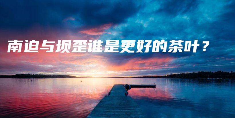 南迫与坝歪谁是更好的茶叶？插图