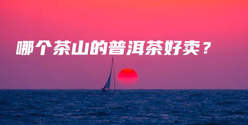 哪个茶山的普洱茶好卖？插图