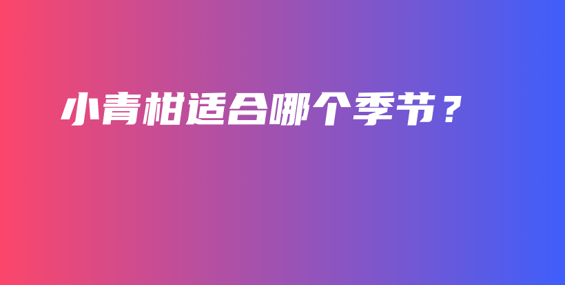 小青柑适合哪个季节？插图