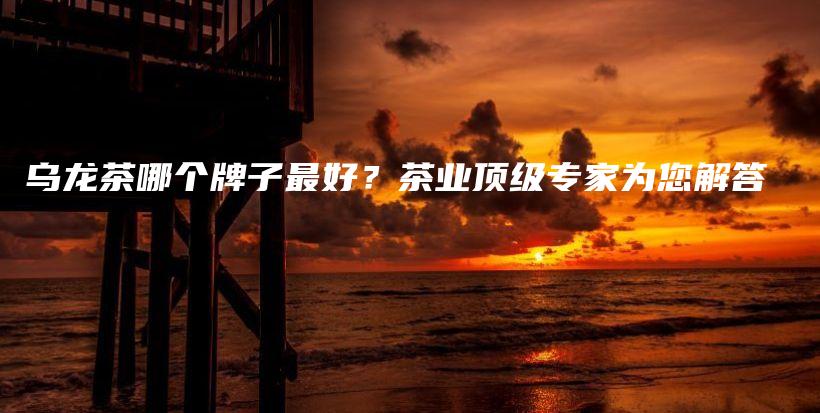 乌龙茶哪个牌子最好？茶业顶级专家为您解答插图