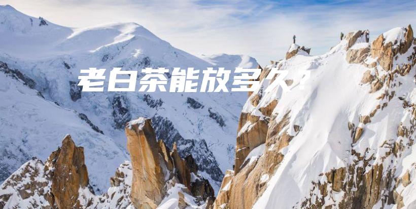 老白茶能放多久？插图