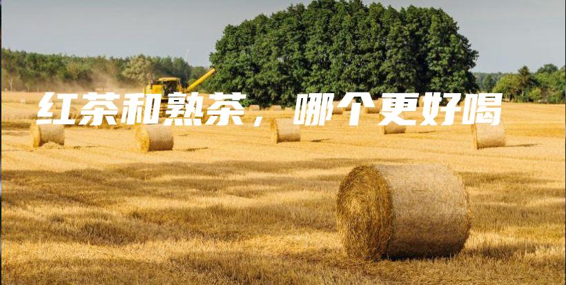 红茶和熟茶，哪个更好喝插图