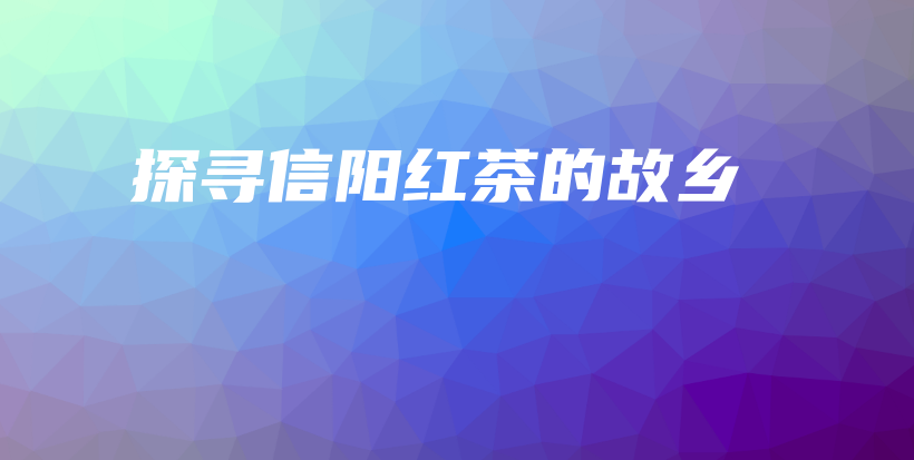 探寻信阳红茶的故乡插图