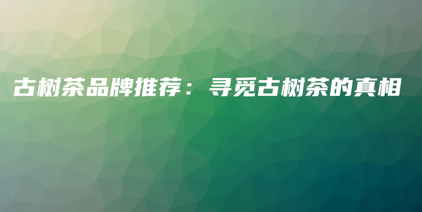 古树茶品牌推荐：寻觅古树茶的真相插图