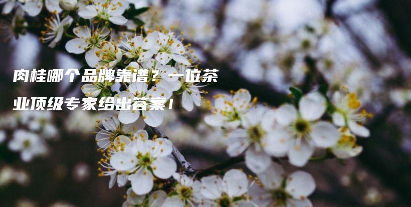 肉桂哪个品牌靠谱？一位茶业顶级专家给出答案！插图