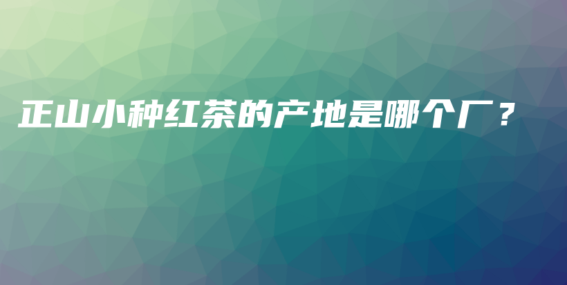 正山小种红茶的产地是哪个厂？插图