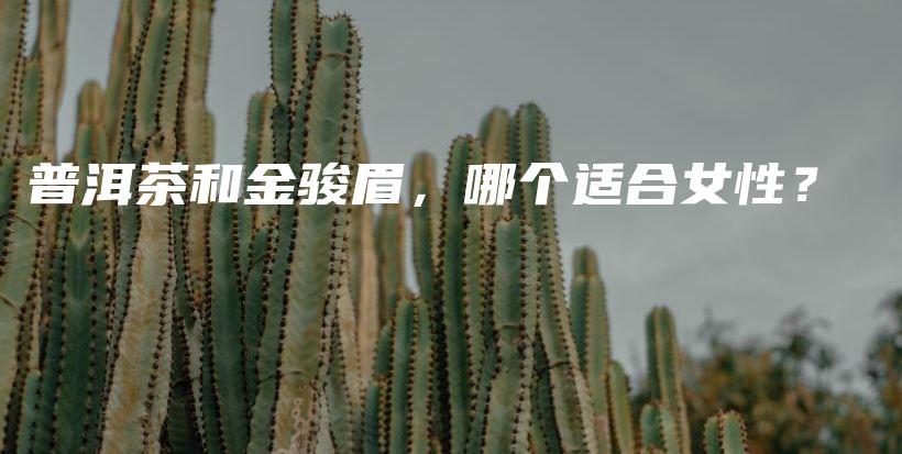 普洱茶和金骏眉，哪个适合女性？插图