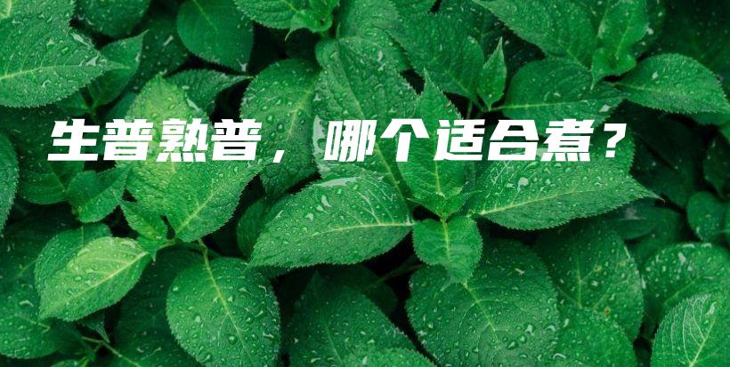 生普熟普，哪个适合煮？插图