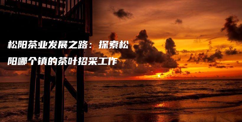 松阳茶业发展之路：探索松阳哪个镇的茶叶招采工作插图