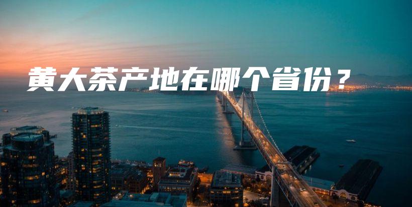 黄大茶产地在哪个省份？插图