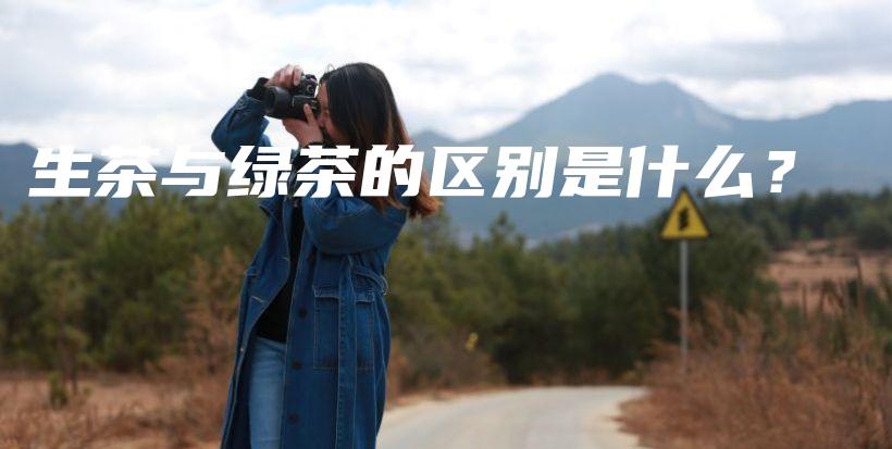 生茶与绿茶的区别是什么？插图