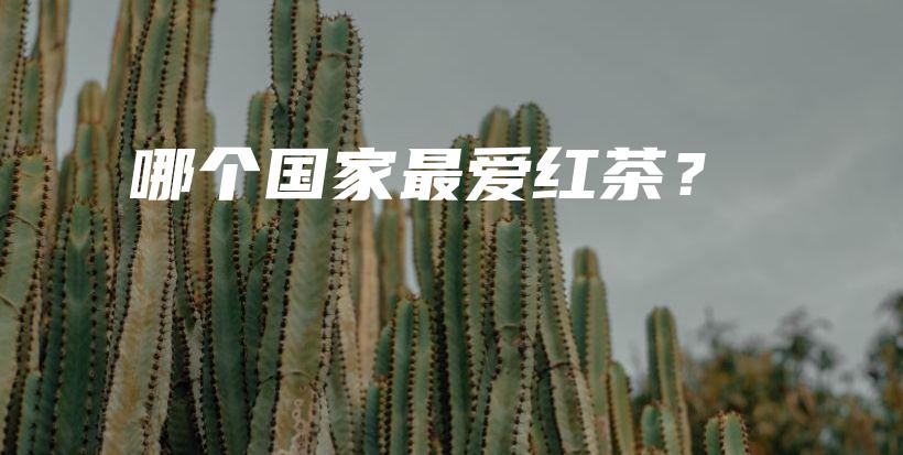 哪个国家最爱红茶？插图