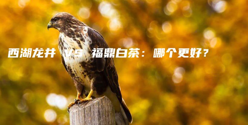 西湖龙井 VS 福鼎白茶：哪个更好？插图