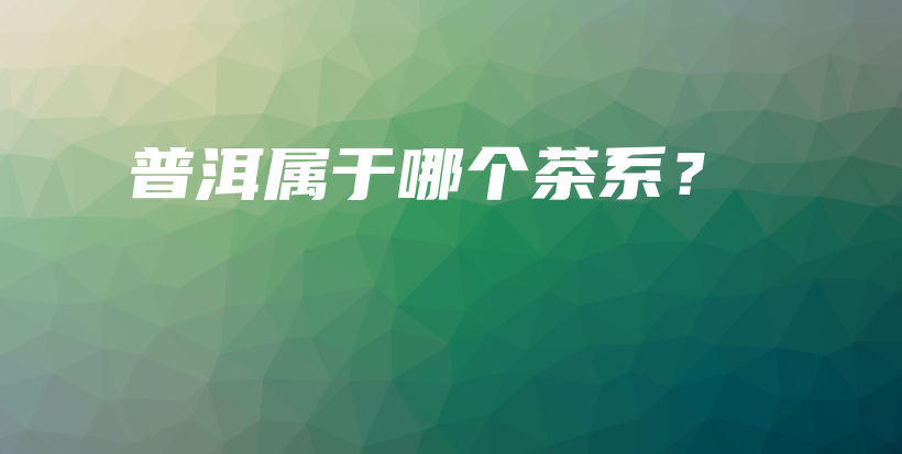 普洱属于哪个茶系？插图